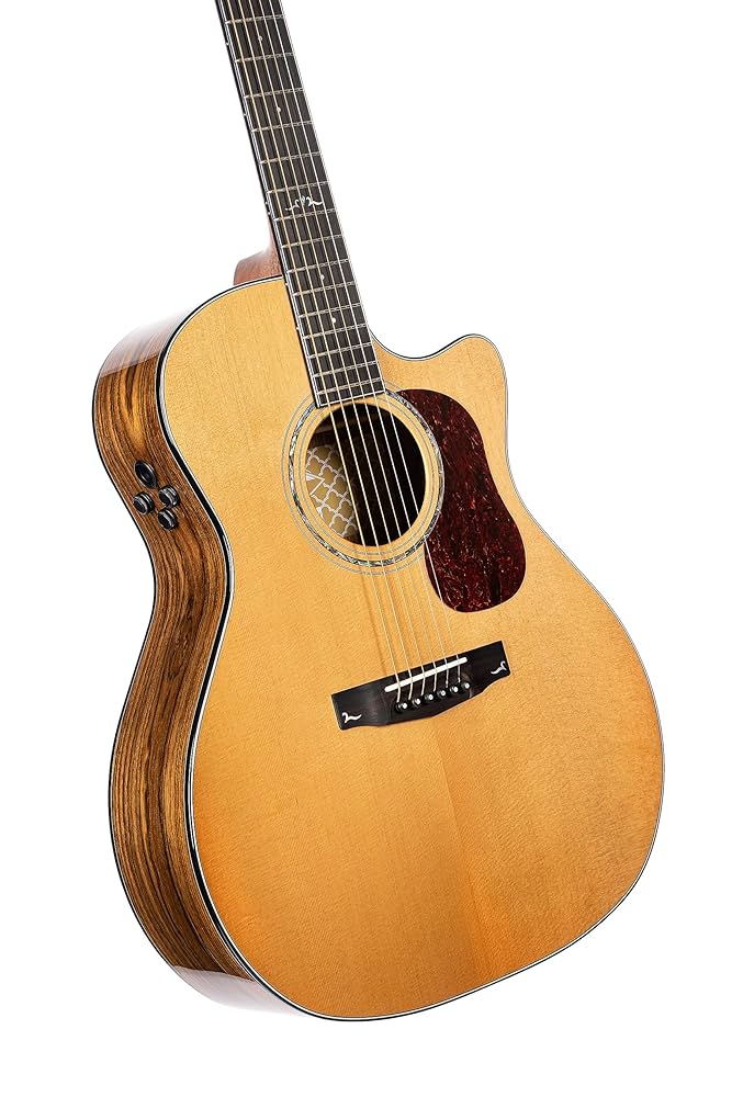Amazon.com: Cort 6 String Acoustic-Electric Guitar, Right